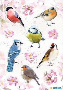 Matrica Herma "Decor" Birds of Home